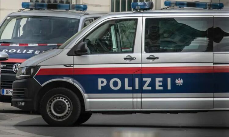 В Долна Австрия разследват майка, тероризирала почти до смърт детето си