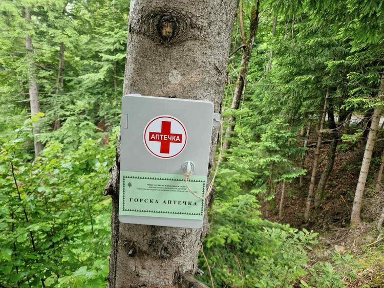 Горска аптечка беше поставена в района на парк "Амзово"