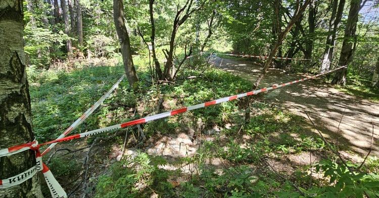 Алексей Петров е разстрелян с калибър 7.62 мм