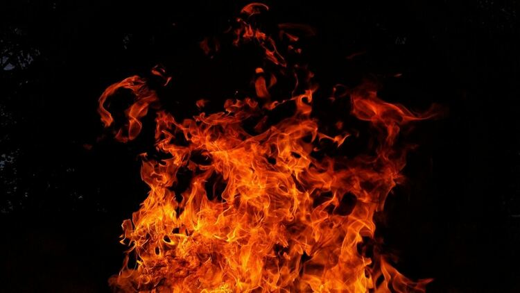 Сухи треви, храсти и горски насаждения са изгорели при пожар в Голо бърдо над общ. Радомир