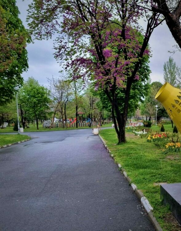 Дежурен екип от еколози ще съдейства в деня на почистването на Асеновград 