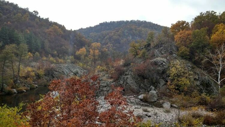 Доброто: Полицаи и доброволци спасиха мъж, паднал в дере