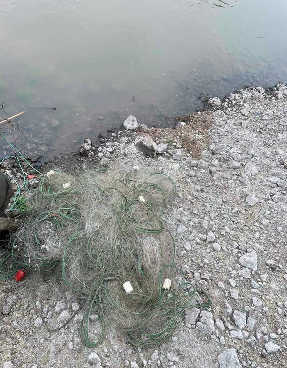 Повече от 10 кг риба върнаха служители на ИАРА във водите на язовир "Студен Кладенец".