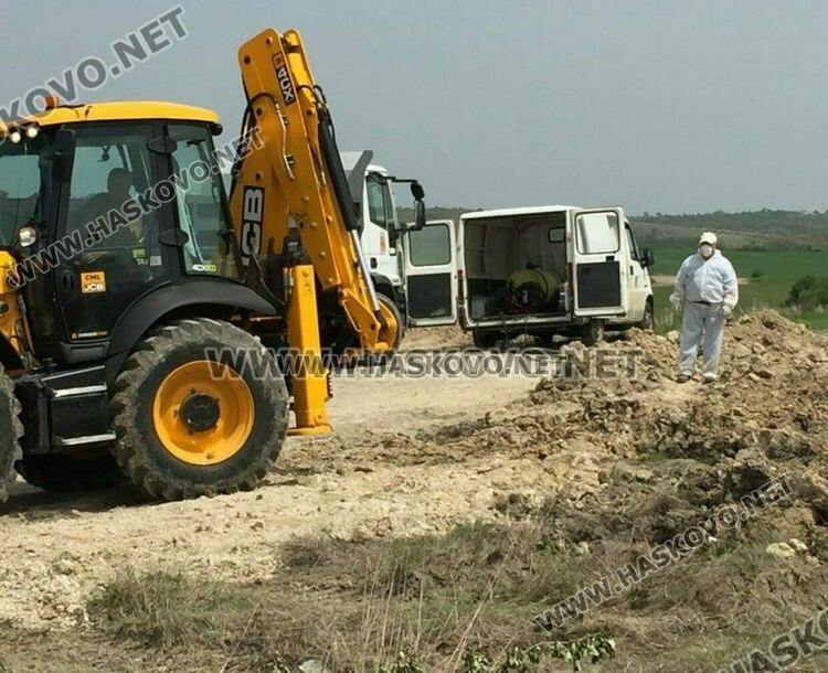 Изтеглят от пазара яйцата на заразените с птичи грип кокошки