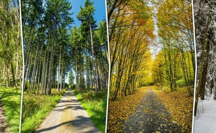 Променят ли се сезоните по света и в България?