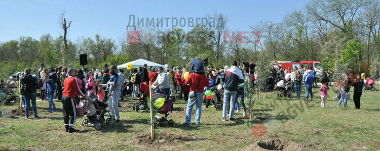 За 14-та поредна година родители засаждат дръвчета по екоинициативата "Алея на новия живот"