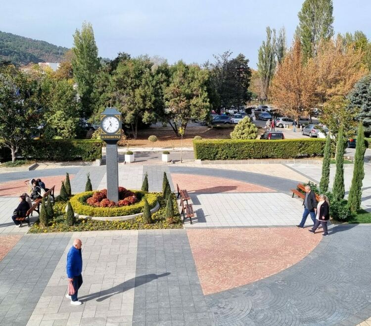 "Гората.бг" раздава безплатно дръвчета в Асеновград 