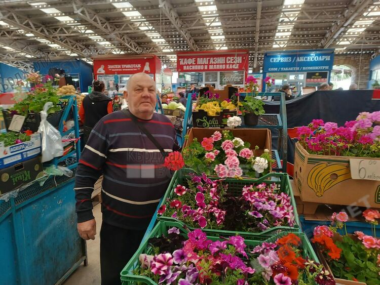 Едногодишните цветя хит на Пазара в Кърджали, купуват ги за тераси и дворове