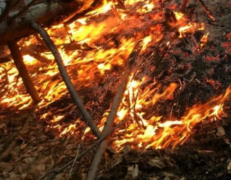 Обявиха пожароопасен сезон на територията на област Пловдив 