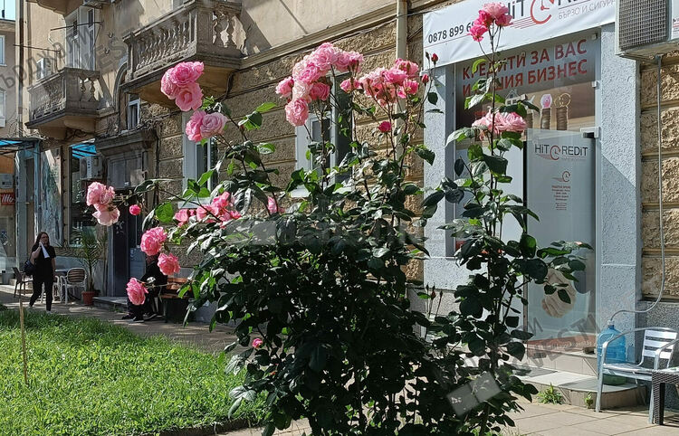 Жълт код за опасни жеги за област Кърджали,в Кърджали температурата ще достигне до 33 градуса на сянка
