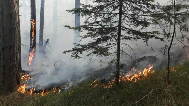 Горски пожар вилнее край Забърдо, локализиран е, гасенето продължава