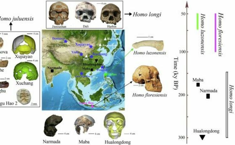 Homo juluensis: Новооткрит човешки вид с голяма глава е бродел из китайските гори