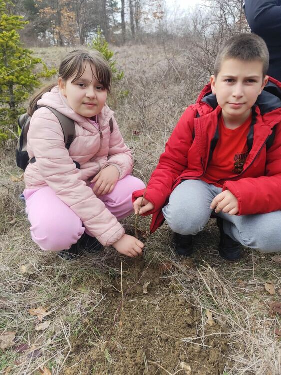 Йовковци засадиха малка гора