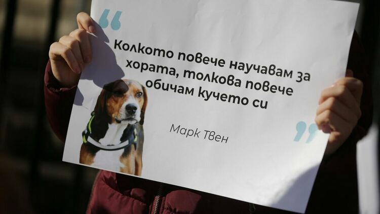 Перник е домакин на Националната среща на Сдружението на общинските приюти за безстопанствени животни