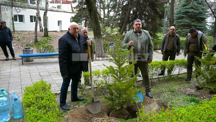 60 дръвчета от седем различни вида бяха засадени в двора на МБАЛ“Д-р Ат.Дафовски“