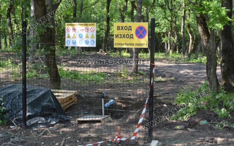 Премахнаха сухи и опасни дървета край езерото в „Кенана“