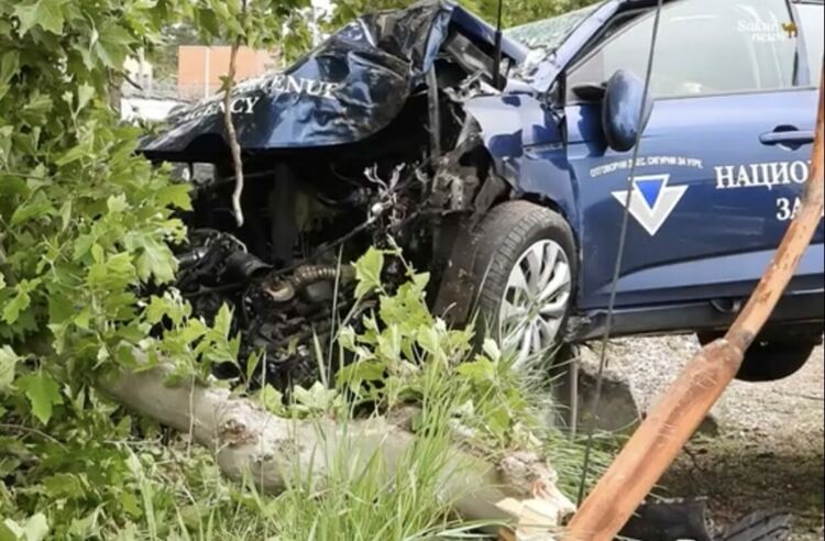 Кола на НАП събори дърво и връхлетя коли в автокъща