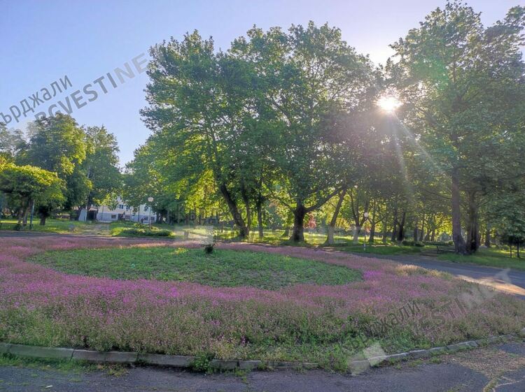   Предимно слънчево с шанс за дъждец днес в Кърджали