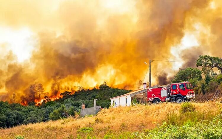 България е в Топ 5 по щети от горски пожари в ЕС
