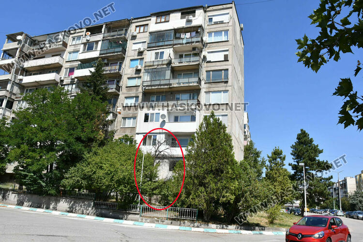 Проверяват сигнал за опасно дърво до бл. 24 в кв. „Орфей“
