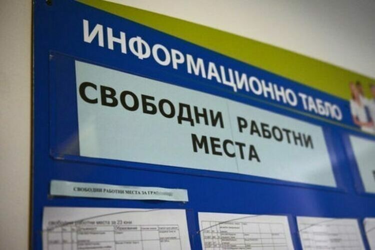 Над 80 свободни работни места в Хасково