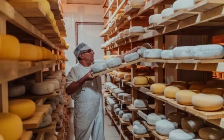 Само в България фалшиво сирене се продава законно