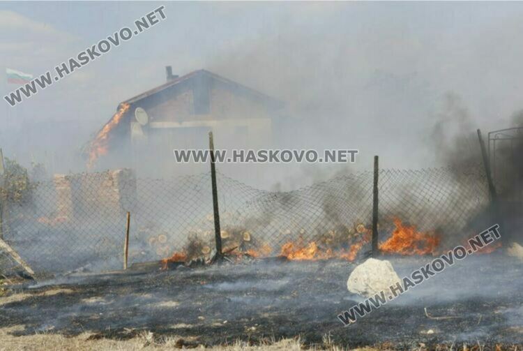 Десетки декари лозя са унищожени от пожар, няма пострадали хора