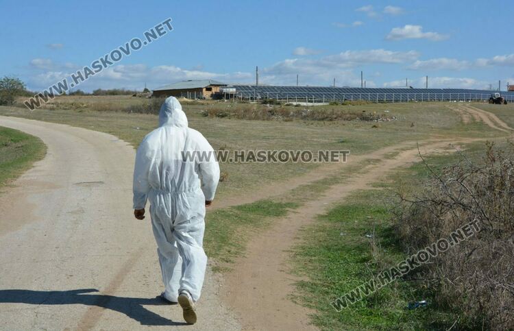 Потвърдиха заболяването антракс във ферма в Славяново