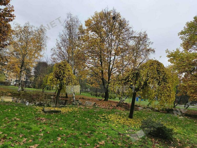 Сутринта облаци и мъгли - следобед повече слънце