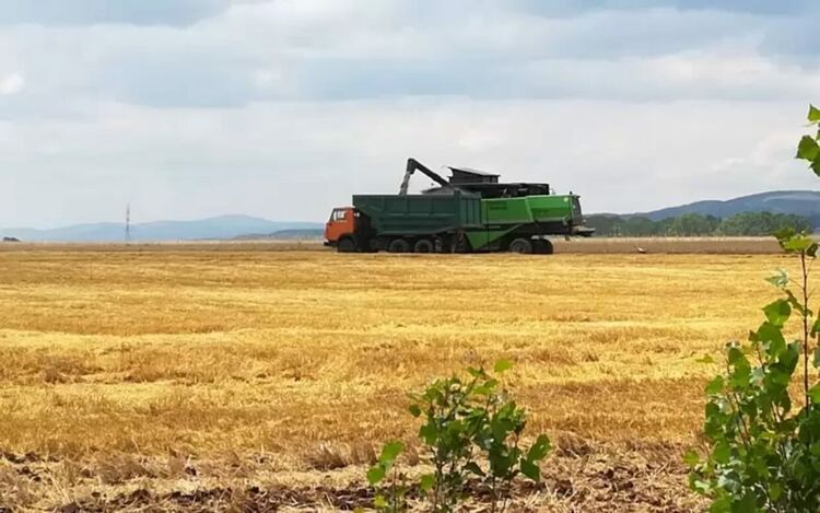 Рентата на земеделска земя намалява в последните 3 г.