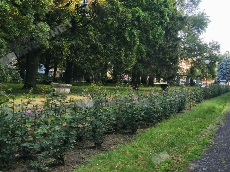 Променлива облачност над Кърджали днес,очаква се преваляване