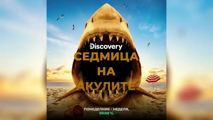 „Седмицата на акулите“ се завръща от 3 август по Discovery